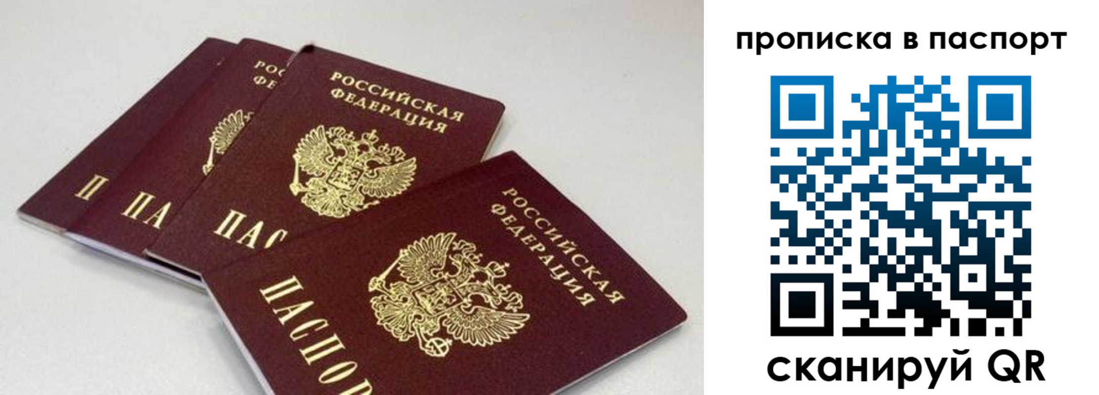 найти адрес прописки в Нижнекамске